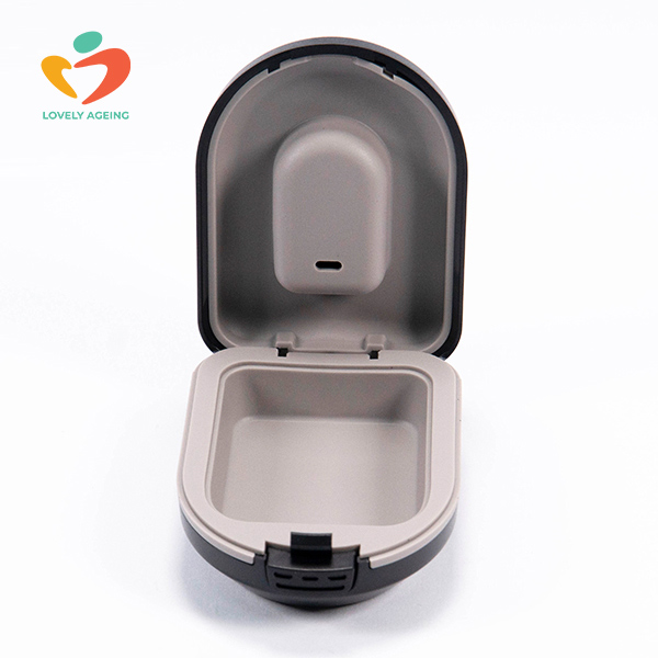 HC2 Hearing Aid Protective Case